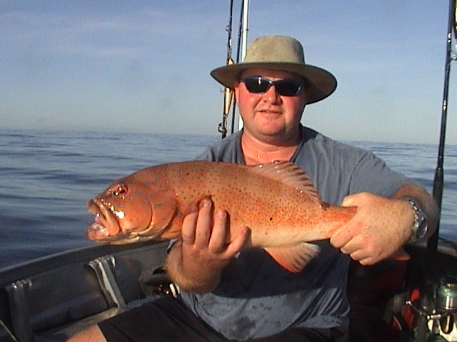 Steve's Coral Trout Steve's Coral Trout